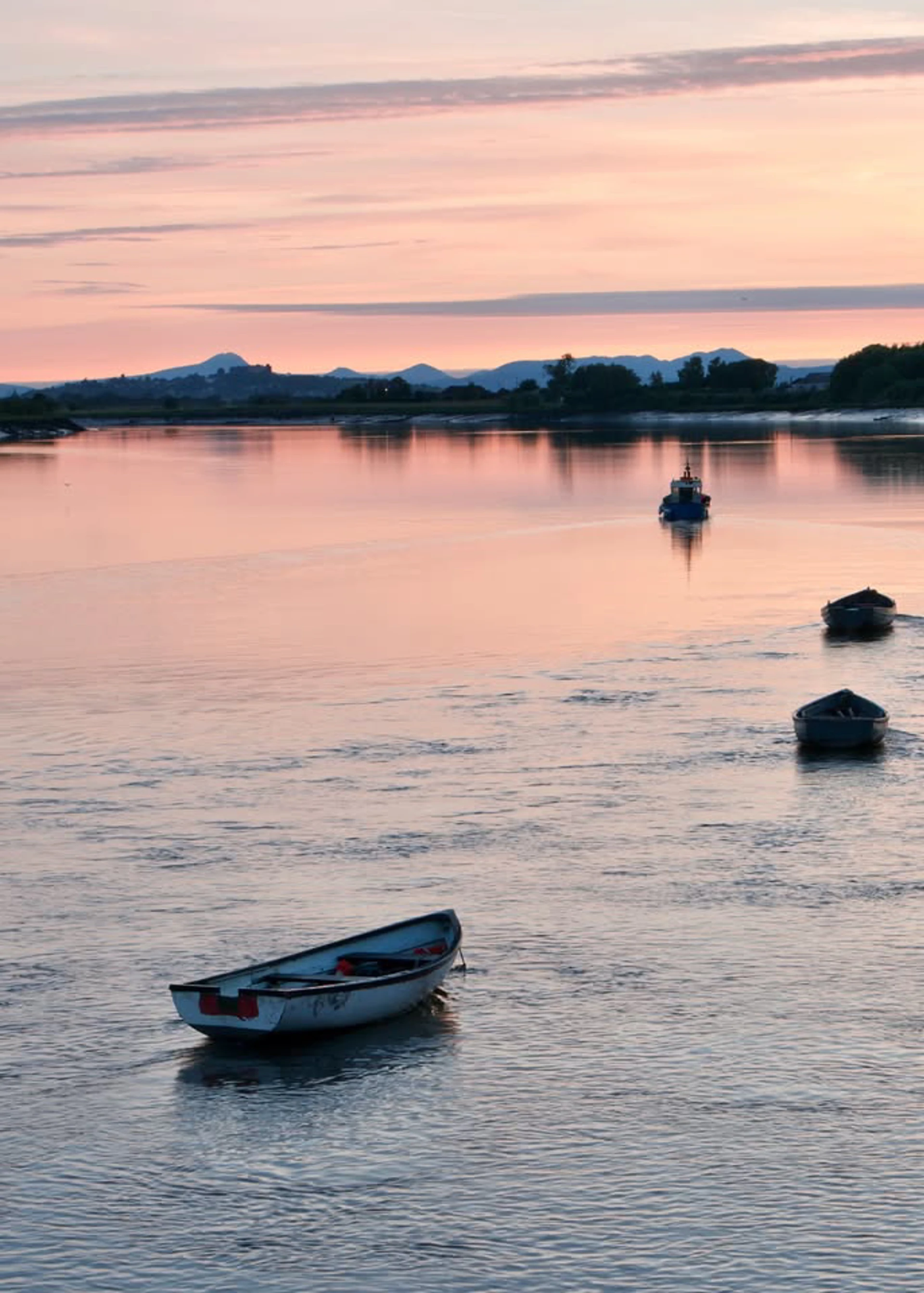 Background image - Alloa Folk Cruise Pure Malk